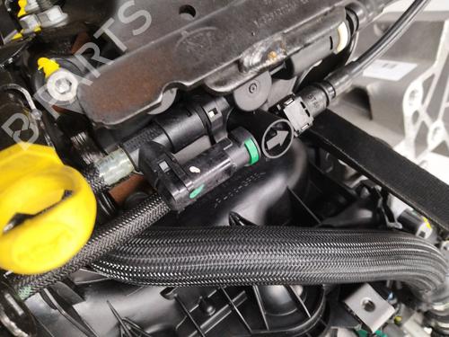 Engine LAND ROVER RANGE ROVER EVOQUE VAN (L538) TD4 4x4 | BP24444981M1 