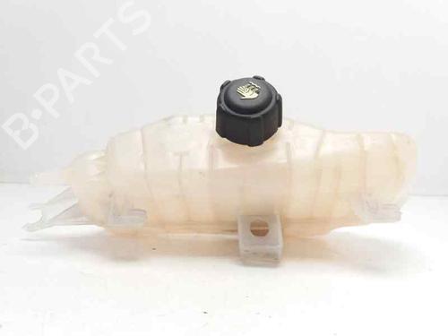 Expansion tank RENAULT CLIO III (BR0/1, CR0/1) 1.5 dCi | BP23418660C120 