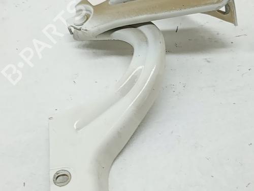 hingedoor-check-strap-fiat-doblo-cargo-263_-2010-39556945 main image