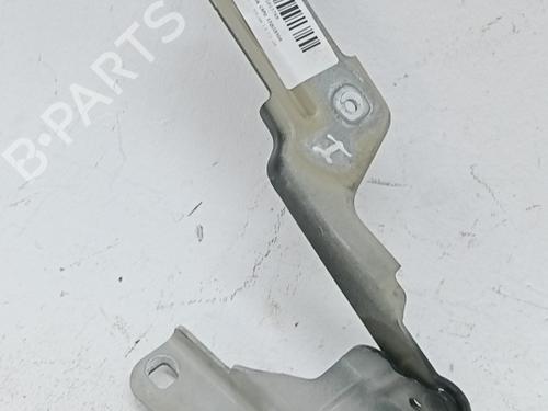 hingedoor-check-strap-citroen-c4-i-lc_-2004-2005-2006-2007-2008-2009-2010-2011-2012-2013-2014-40547589 main image