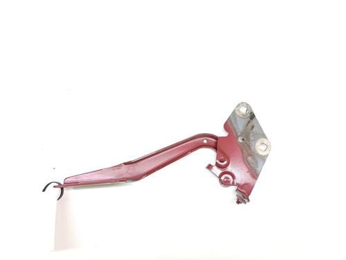 Hinge/Door check strap RENAULT FLUENCE (L3_) 1.5 dCi (L30D, L30L, L306, L33F, L33L, L33M, L33V, L33W) | BP29228067C146 
