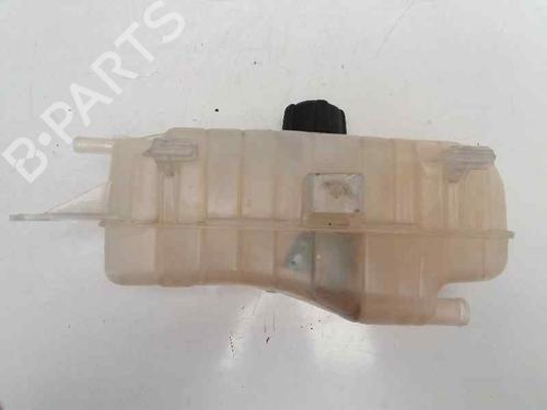 Expansion tank RENAULT CLIO III (BR0/1, CR0/1) 1.5 dCi | BP23418660C120 