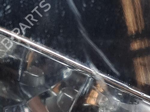 Left front fog light HYUNDAI SONATA V (NF) 2.0 CRDi | BP26192455C30 