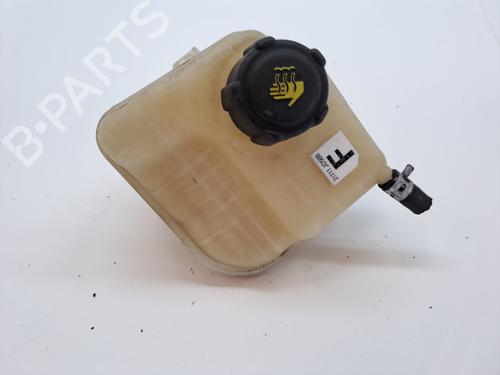Expansion tank NISSAN QASHQAI / QASHQAI +2 I (J10, NJ10, JJ10E) 2.0 dCi All-wheel Drive | BP23360565C120 
