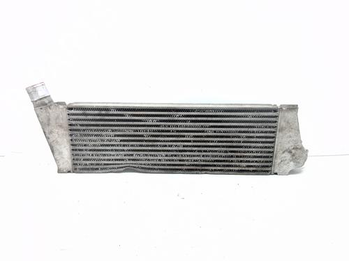 Intercooler RENAULT MEGANE II (BM0/1_, CM0/1_) 1.5 dCi (BM1E, CM1E) | BP27731850M30 