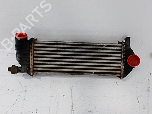Intercooler RENAULT KANGOO BE BOP (KW0/1_) 1.5 dCi 75 | BP36002253M30 - Image 1
