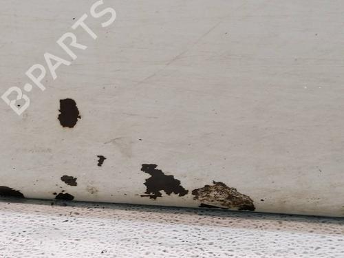 Left front door NISSAN TERRANO II (R20) 2.7 TD 4WD | BP24402275C2
