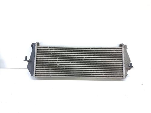 Intercooler LAND ROVER DEFENDER Station Wagon (L316, L315) 2.5 Td5 4x4 (L316) | BP25460550M30 