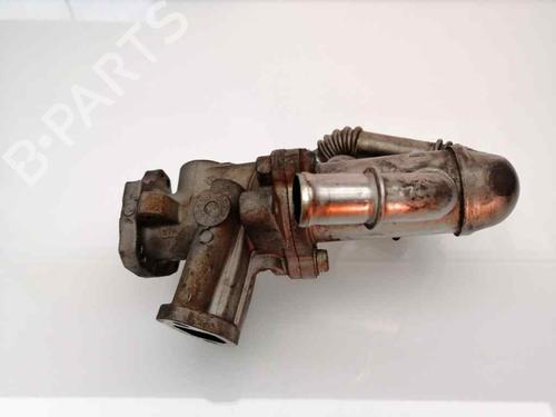 Egr FIAT DOBLO Box Body/MPV (223_) 1.3 D Multijet (75 hp) 23458011