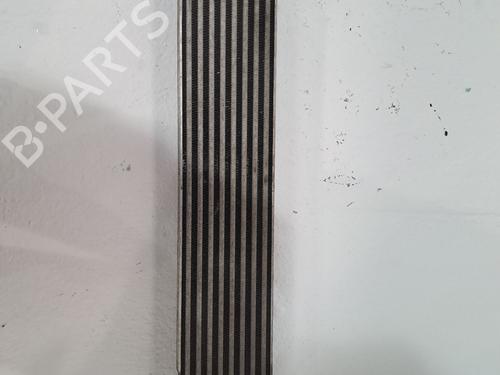 Intercooler FIAT BRAVO II (198_) 1.9 D Multijet (198AXB1A) | BP24109106M30 