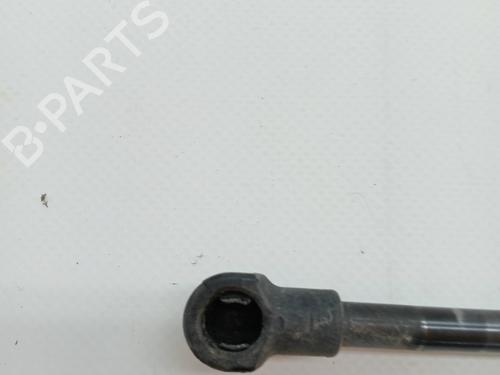 Tailgate lift support NISSAN QASHQAI / QASHQAI +2 I (J10, NJ10, JJ10E) 1.6 | BP23344746C138 