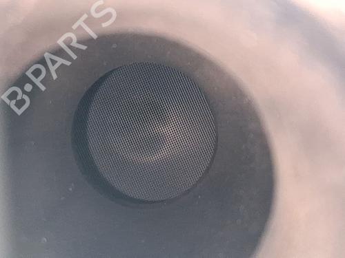 Catalyst RENAULT CLIO V (B7_) 1.0 TCe 90 (B7MT) | BP28108188M10 