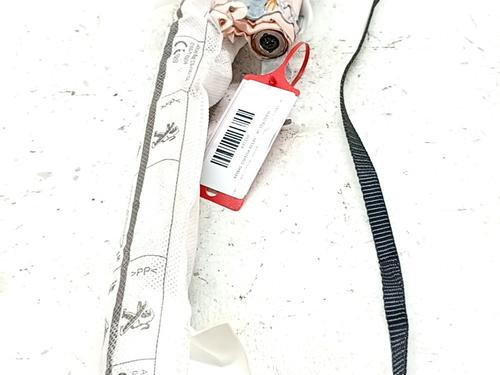 Used Left curtain airbag Left curtain airbag FIAT DOBLO Box Body/MPV (510_, 511_) BlueHDi 100 (102 hp) 33763846 33763846