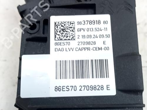 Pedal PEUGEOT 2008 II (UD_, US_, UY_, UJ_, UR_, UC_) 1.2 PureTech 100 (USHNK) | BP32285564I4