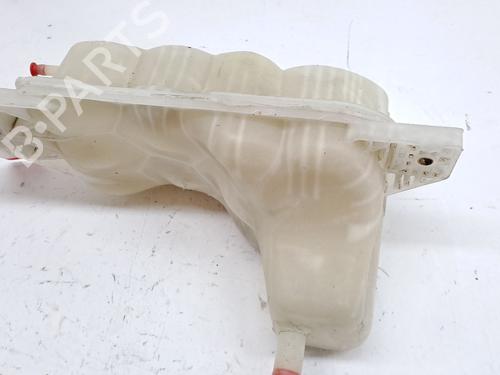 Used Expansion tank NISSAN JUKE (F15) 1.5 dCi (110 hp) 28958002