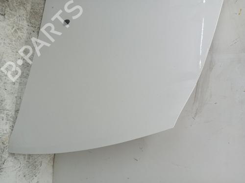 Hood RENAULT CLIO III (BR0/1, CR0/1) 1.5 dCi (BR17, CR17) | BP23374545C1 