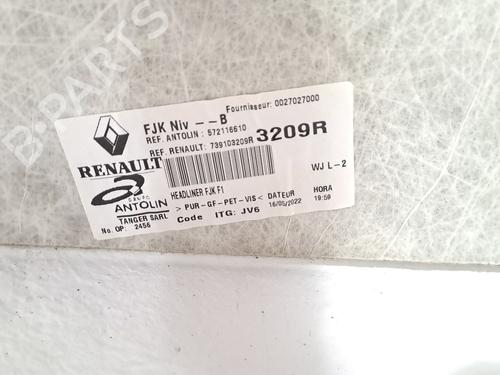Interior roof RENAULT EXPRESS Box Body/MPV 1.5 Blue dCi 75 (F6AA) | BP29228556I12 