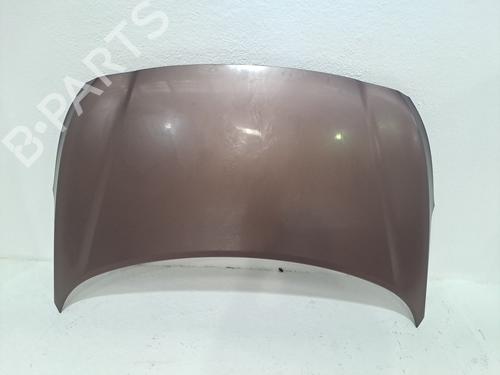 Used Hood HYUNDAI i20 II (GB, IB) 1.1 CRDi (75 hp) 26192763