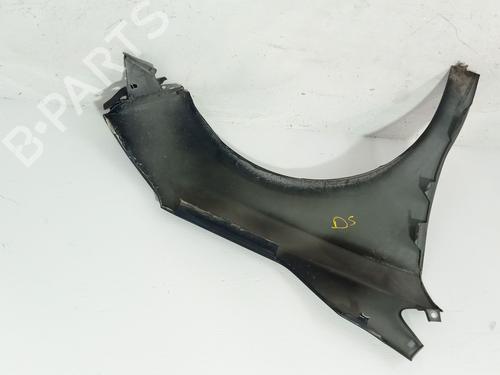 Left front fenders CITROËN C4 II (NC_) 1.6 BlueHDi 100 | BP29420901C41 