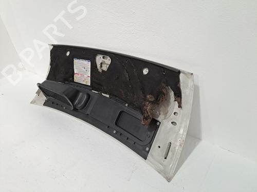 Hood FIAT DUCATO Van (250_) 115 Multijet 2,0 D | BP23977632C1 