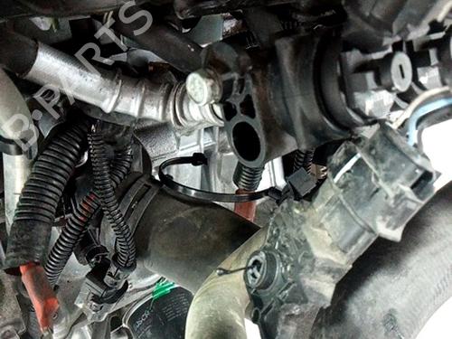 Engine DACIA DOKKER Box Body/MPV 1.6 | BP29384862M1 