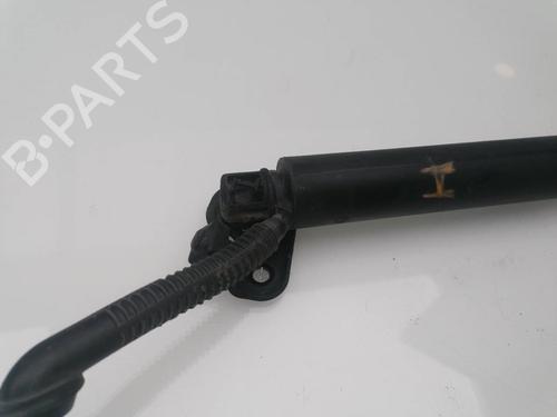 Tailgate lift support BMW 3 Touring (F31) 318 d | BP23941255C138 