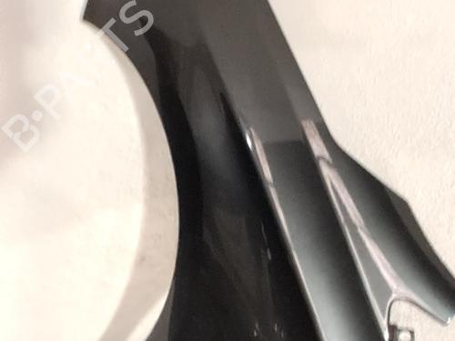 Left front fenders CITROËN C4 II (NC_) 1.6 HDi 90 | BP31700738C41 