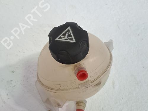 Used Expansion tank CITROËN BERLINGO Box Body/MPV (B9) 1.6 BlueHDi 100 (99 hp) 28108418