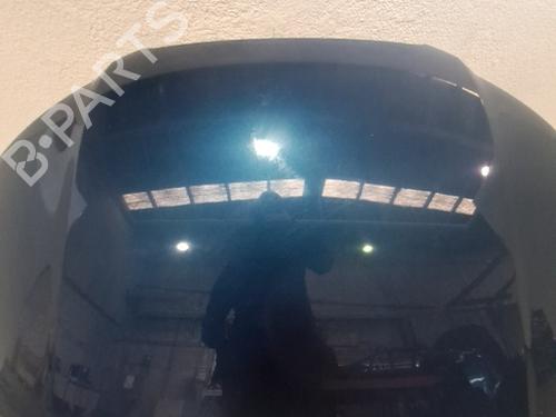 Used Hood Hood AUDI A3 (8P1) 2.0 TDI 16V (140 hp) 36522789 36522789