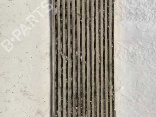 Intercooler Intercooler OPEL VIVARO A Van (X83) 1.9 DTI (F7) (101 hp) 34182439 34182439