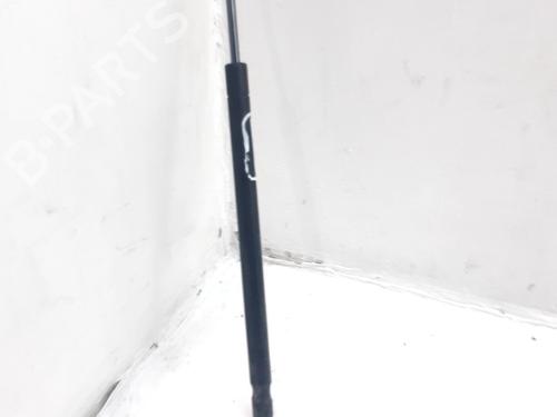 tailgate-lift-support-renault-scenic-ii-jm01_-2003-2004-2005-2006-2007-2008-2009-2010-34497294 main image