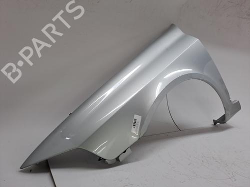 Left front fenders RENAULT LAGUNA II (BG0/1_) 1.9 dCi (BG08, BG0G) | BP23943164C41 