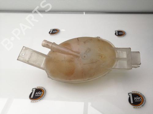 Used Expansion tank RENAULT MASTER III Van (FV) 2.3 dCi 145 FWD (FV0E, FV0F, FV0H, FV02, FV0M, FV0S,... (146 hp) 23384850
