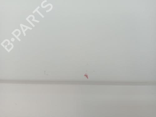 Left front door OPEL VIVARO A Van (X83) 2.5 DTI (F7) | BP23279762C2