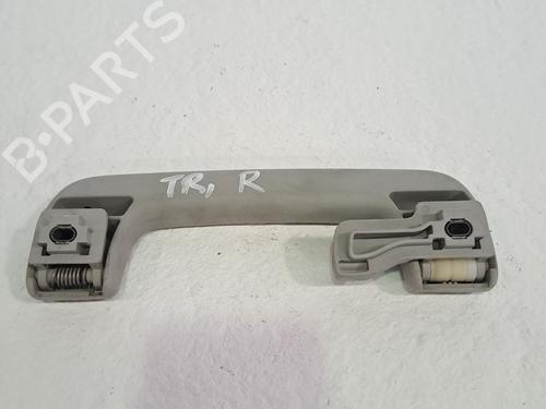 Interior roof handle SEAT EXEO ST (3R5) 2.0 TDI | BP27253235I35 