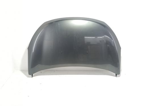 Used Hood DACIA LODGY (JS_) 1.6 SCe 100 (JSAV) (102 hp) 29179308