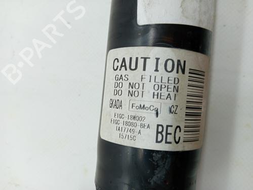 Left rear shock absorber FORD S-MAX (CJ, WA6) 2.0 TDCi | BP23347526M18