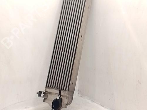 Intercooler Intercooler NISSAN QASHQAI I (J10, NJ10) 1.5 dCi (106 hp) 36523190 36523190