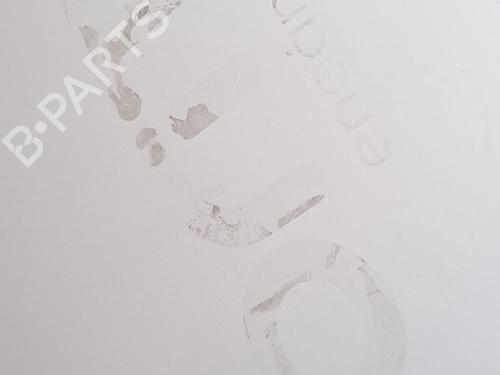 Hood RENAULT KANGOO / GRAND KANGOO II (KW0/1_) 1.5 dCi 90 (KW18) | BP27557169C1