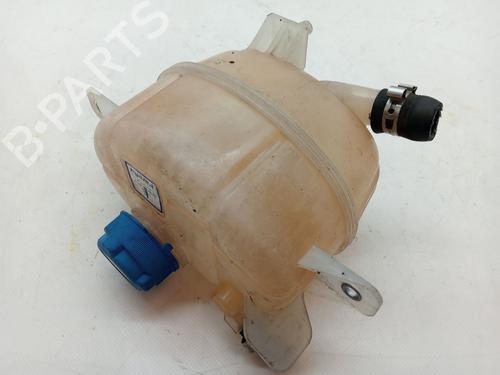 Expansion tank FIAT FIORINO Box Body/MPV (225_) 1.3 D Multijet | BP23358172C120