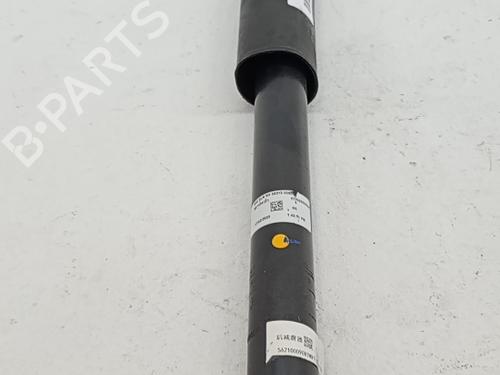 left-rear-shock-absorber-dacia-spring-2020-40546641 main image