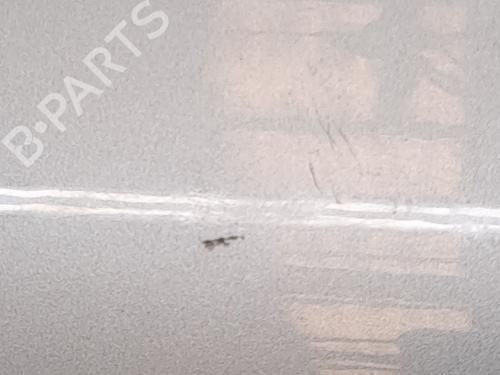 Right front door AUDI A6 C6 (4F2) 3.0 TDI quattro | BP23369542C3 
