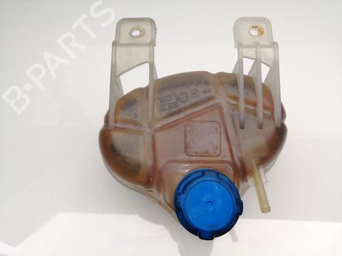Ekpansionstank FIAT GRANDE PUNTO (199_) 1.4 (199AXB1A) (75 hp) 23419006