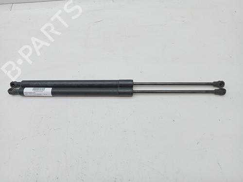 Used Hood lift support RENAULT SCÉNIC III (JZ0/1_) 1.5 dCi (110 hp) 23348821