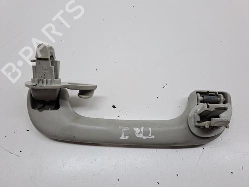 Interior roof handle NISSAN QASHQAI / QASHQAI +2 I (J10, NJ10, JJ10E) 2.0 dCi All-wheel Drive | BP23360497I35 