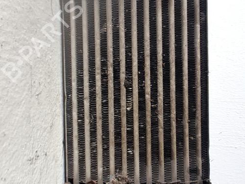 Intercooler FIAT STILO (192_) 1.9 JTD (192_XE1A) | BP32258253M30