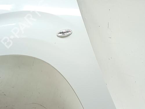 Used Left front fenders Left front fenders CITROËN BERLINGO Box Body/MPV (K9) 1.5 BlueHDi 100 (102 hp) 33767813 33767813