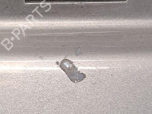 Left rear door FIAT BRAVO II (198_) 1.6 D Multijet (198AXH1B) | BP23366972C4 