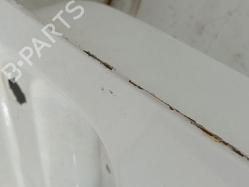 Right front door NISSAN CABSTAR E (TL_, VL_) 75.28 (TL0) | BP26315173C3 