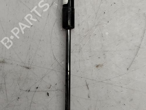 hood-lift-support-renault-trafic-iii-van-fg_-2014-36523483 main image